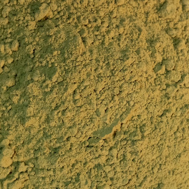 Pumpkin Seed Protein Powder, Organic