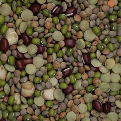 Sprouting Seeds: Mixed Beans Organic, from Sprouting Seeds: Mixed Beans Organic, from