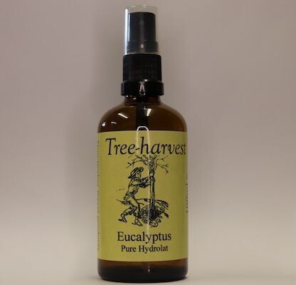 Eucalyptus Hydrolat, Organic at source, from