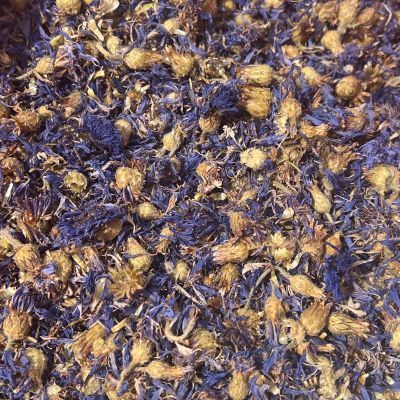 Cornflowers Whole Blue, from Cornflowers Whole Blue, from