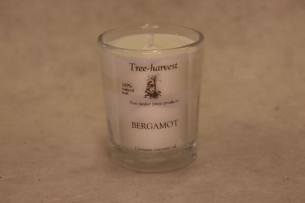 Pure Plant Wax Votive Candle - Lavender & Bergamot