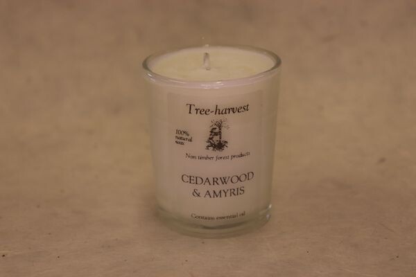 Pure Plant Wax Votive Candle -Cedarwood and Amyris