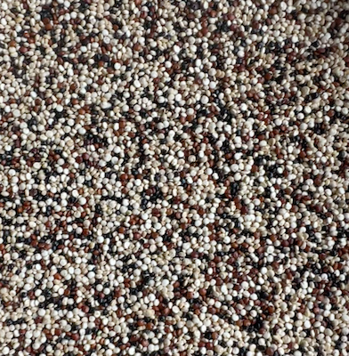 Quinoa Tricolour Organic, from Quinoa Tricolour Organic, from