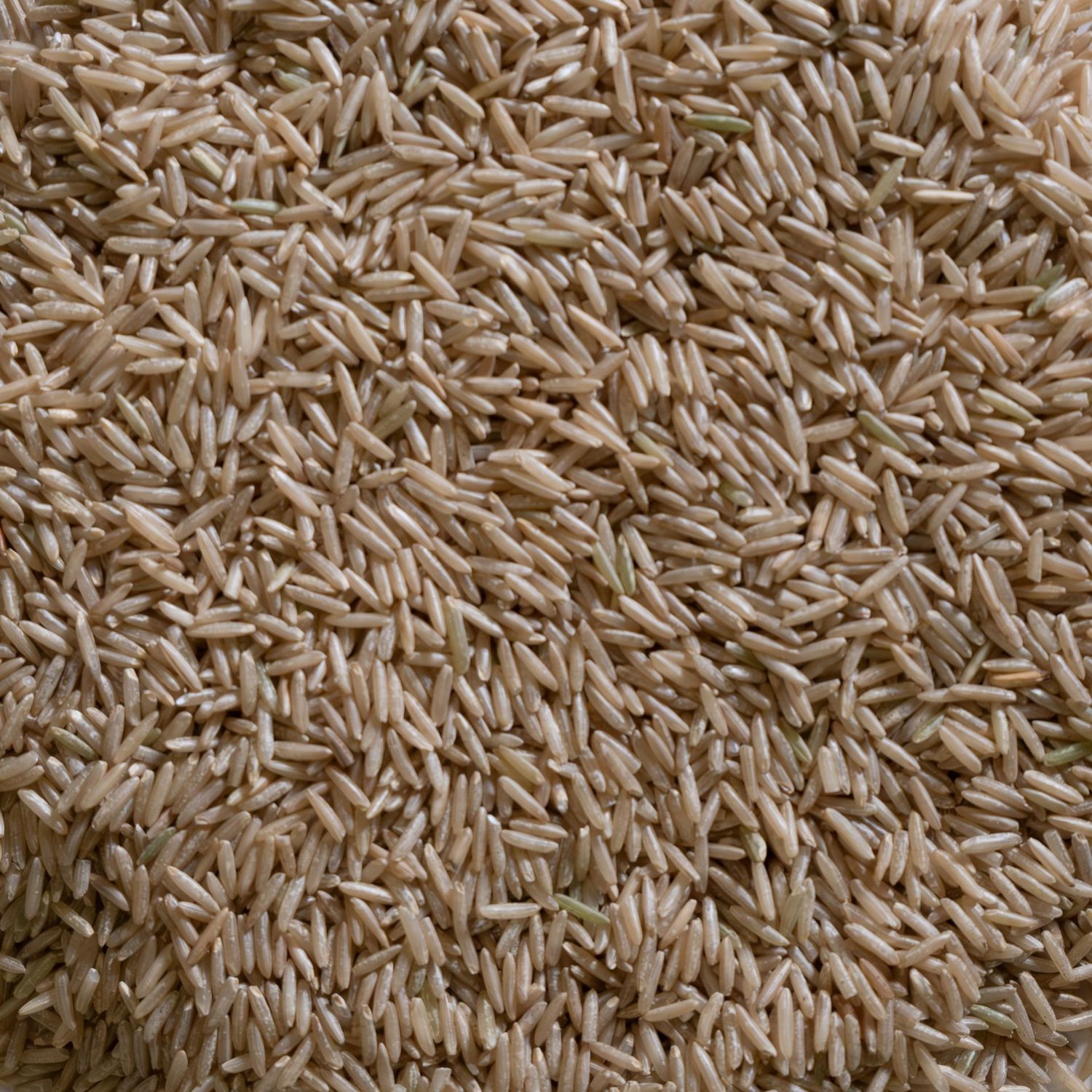 Rice Brown Basmati Organic, from