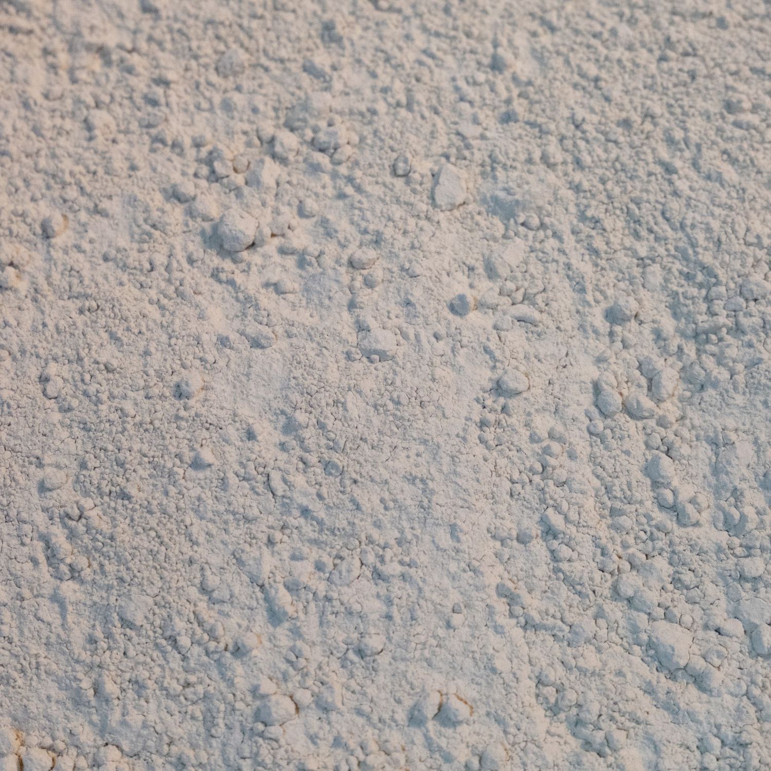 Brown Rice Protein Powder, Organic