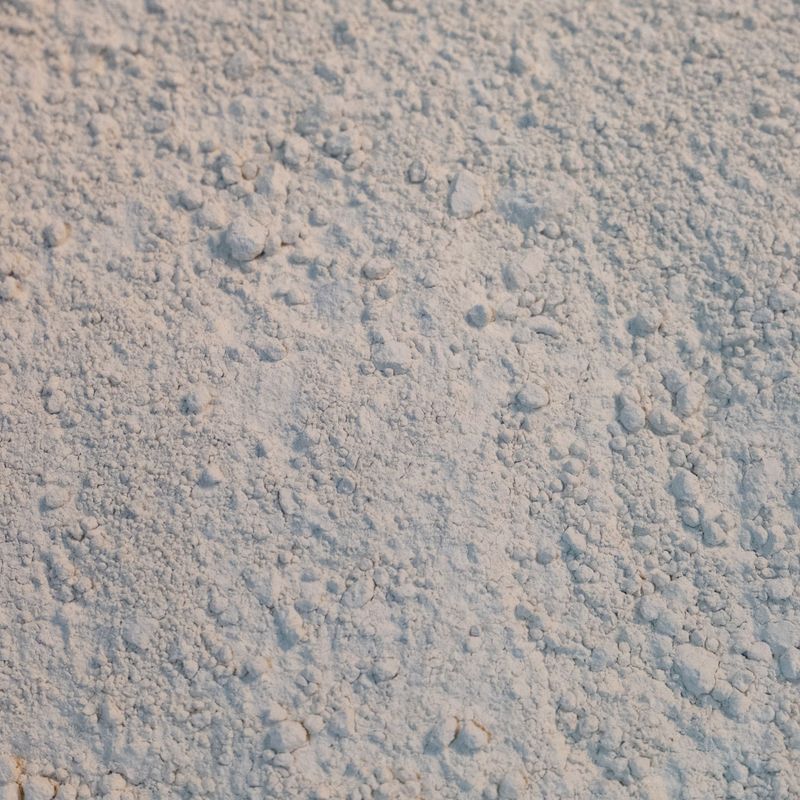 Brown Rice Protein Powder, Organic