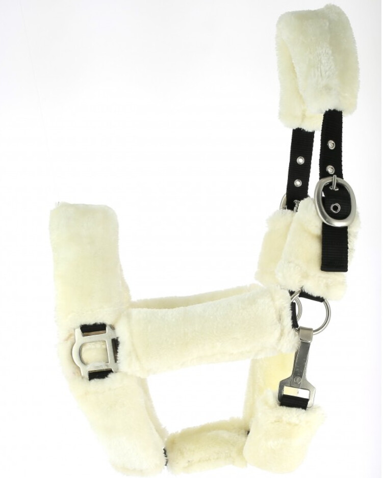 LICOL DE TRANSPORT FULL MOUTON Les Indispensables EE