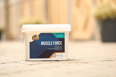 MUSCLE FORCE