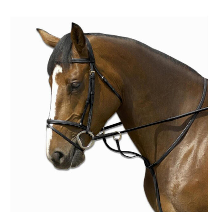 MARTINGALE ÉQUITATION CHEVAL SCHOOLING NOIR
