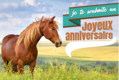 Carte cadeau