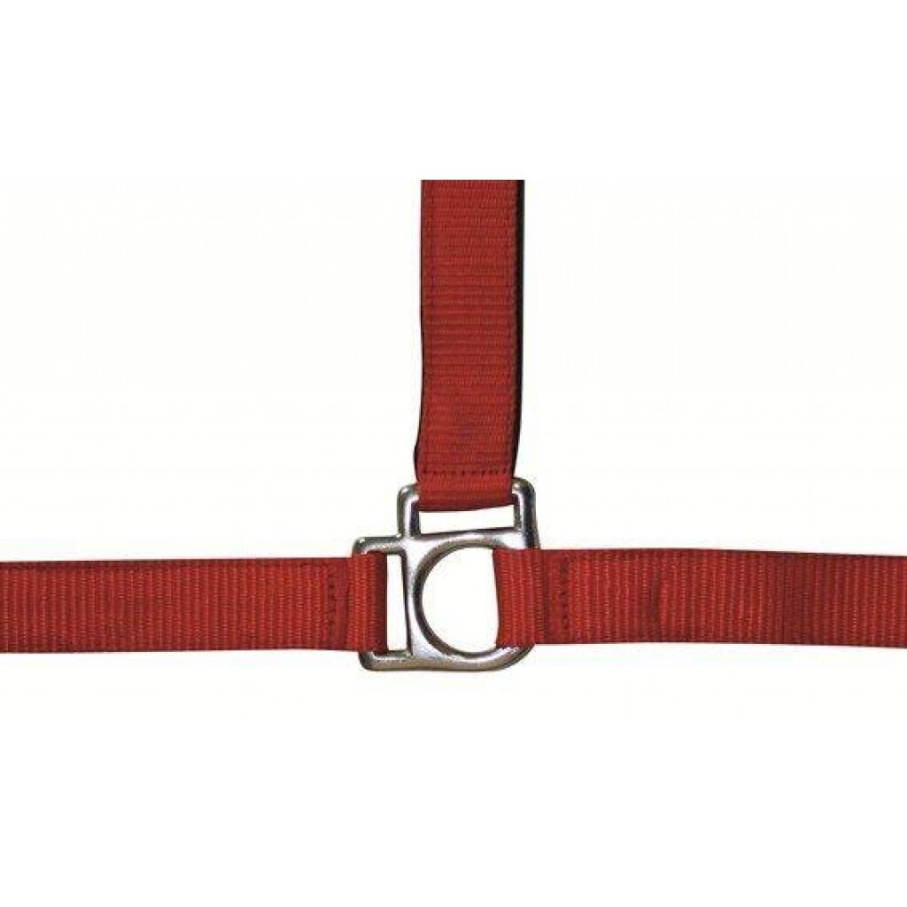 LICOL -Stars- HKM, COULEUR: Rouge, TAILLE: Cheval