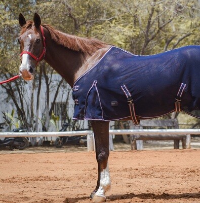 SOLDE!!! Cheval au Repos