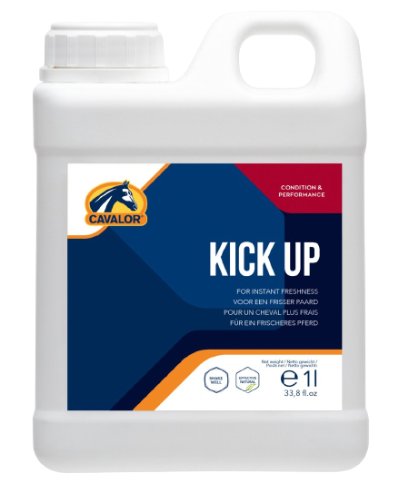 KICK UP