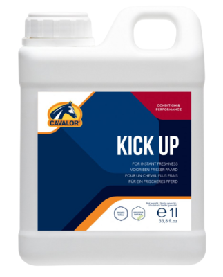 KICK UP