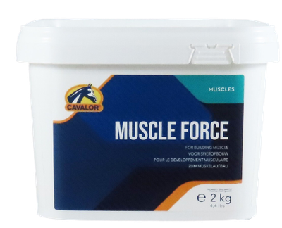MUSCLE FORCE