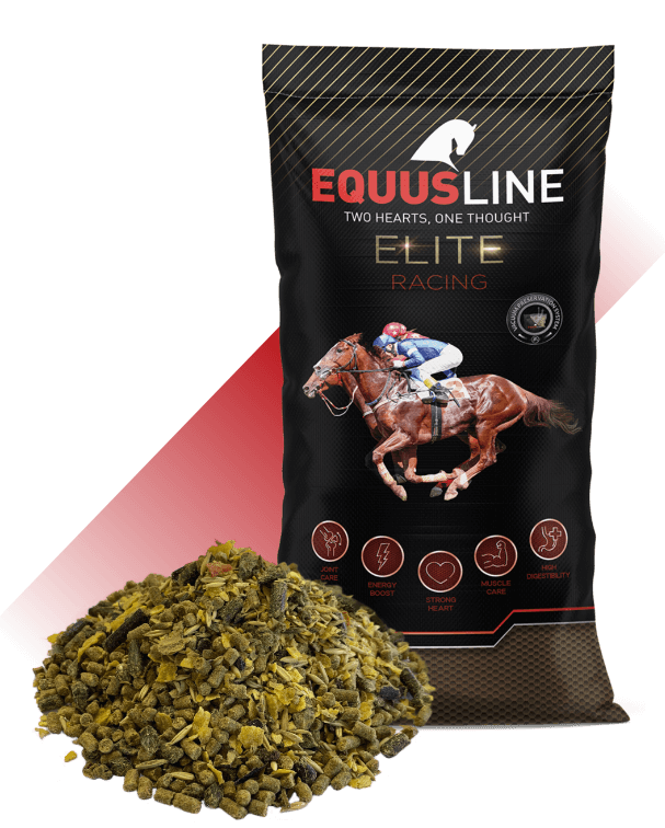 EQUILUX ELITE -RACING MIX-