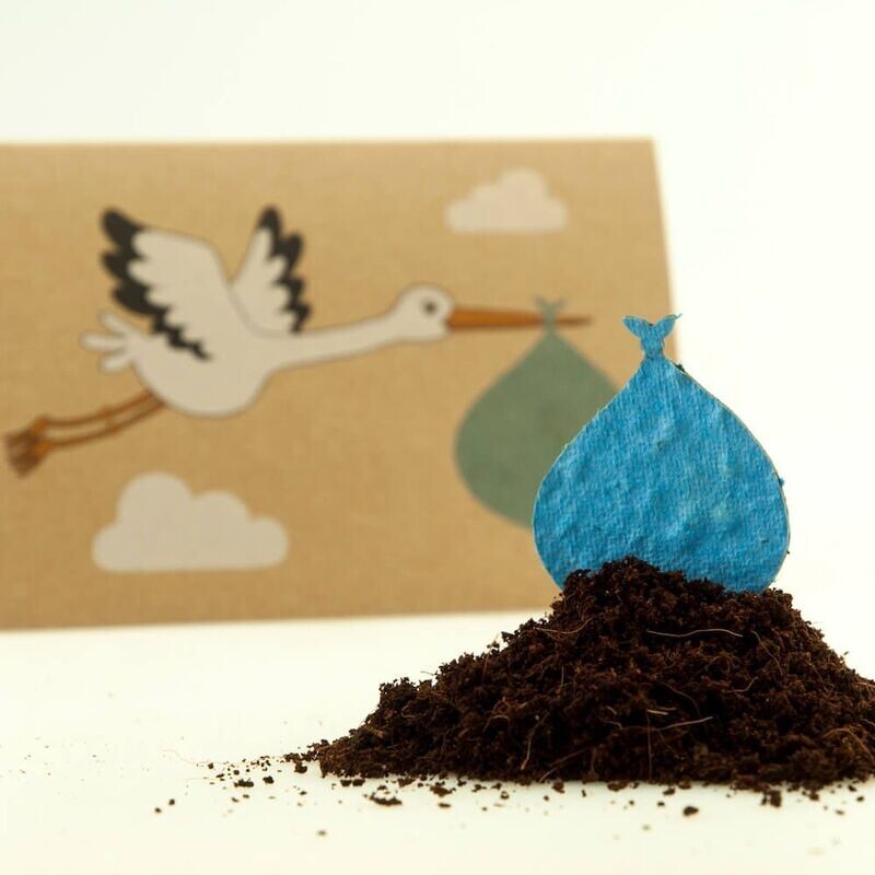 Samen Postkarte: Storch Hellblau Samen Postkarte: Storch Hellblau