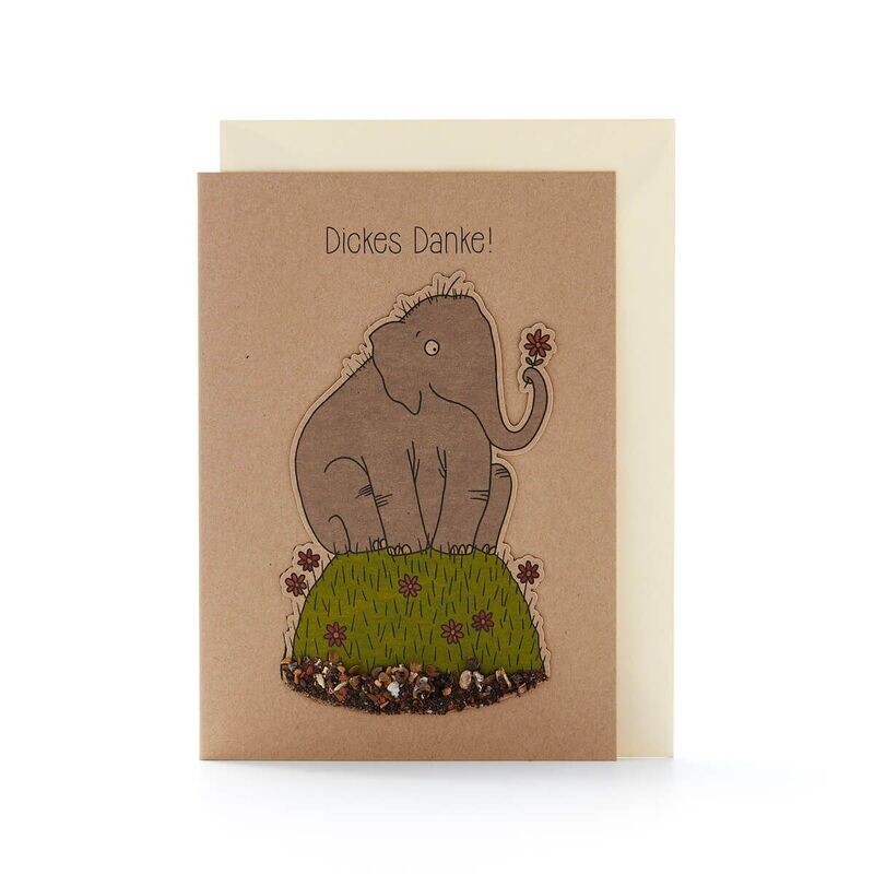 Samen Postkarte: Ein dickes Danke Samen Postkarte: Ein dickes Danke