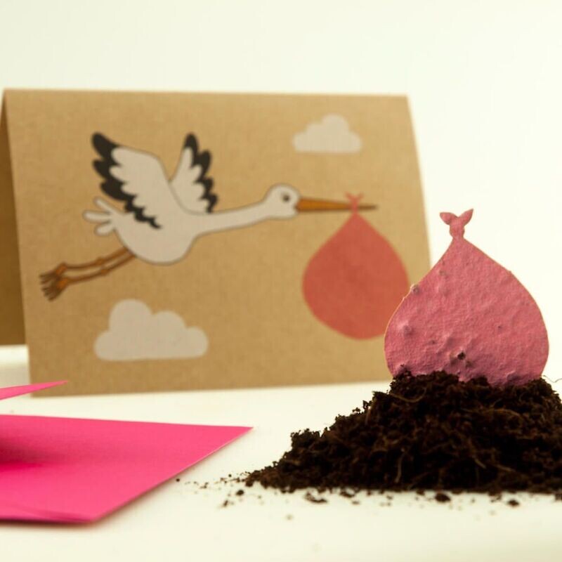 Samen Postkarte: Storch Rosa