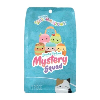 Squishmallows 8” Breakfast Club Mystery Squad Blind bag