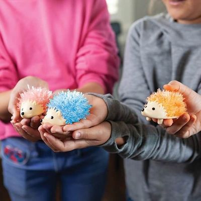 Sensory Friendly Friends
