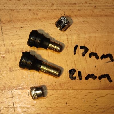 Tubeless Tyre Valve Stem (straight) suit eScooter 11mm seat