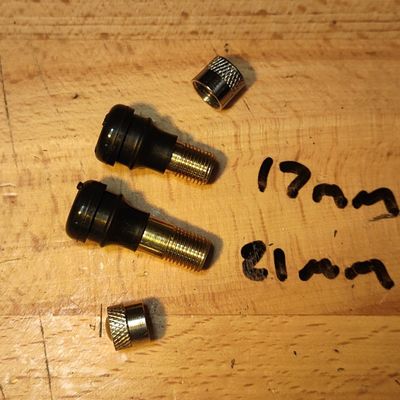 Tubeless Tyre Valve Stem (straight) suit eScooter 11mm seat