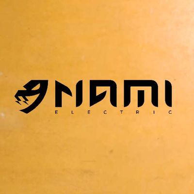NAMI Electric Spares