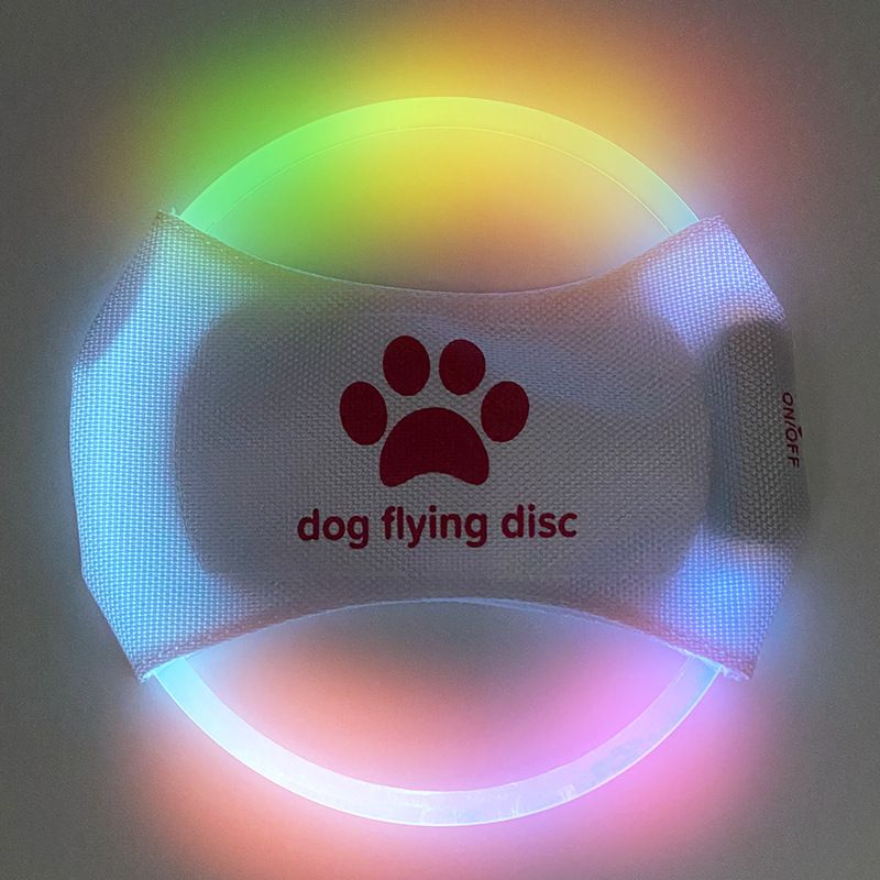 Neon Dog Frisbee