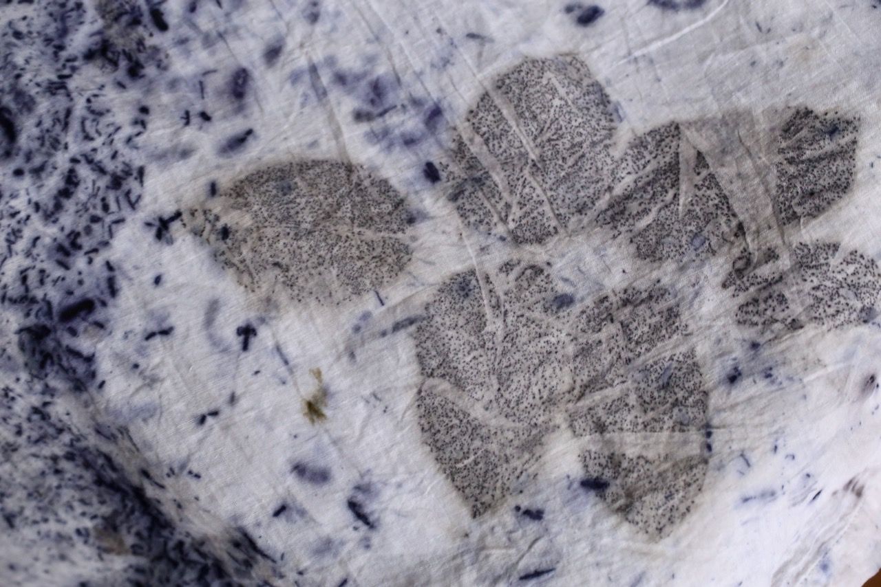 カディコットン 200カウントブラウス/Khadi cotton pullover blouse「ボタニカルプリント④/Botanical print」