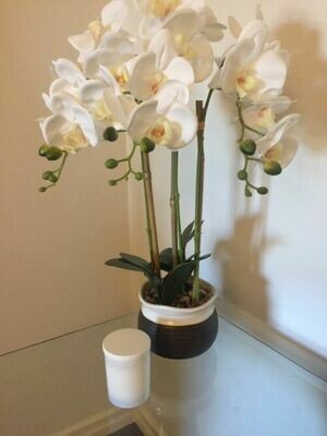 Soy Wax Candle - Lotus Fragrance - Medium - Gift Boxed