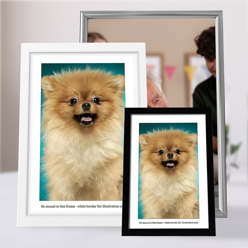 Framed Prints