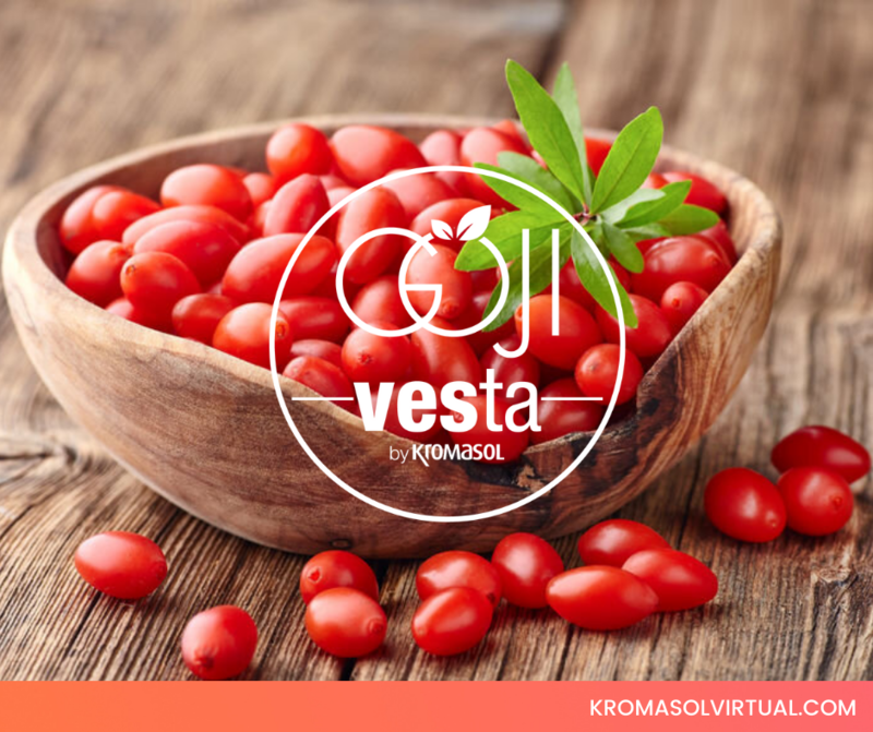 Vesta