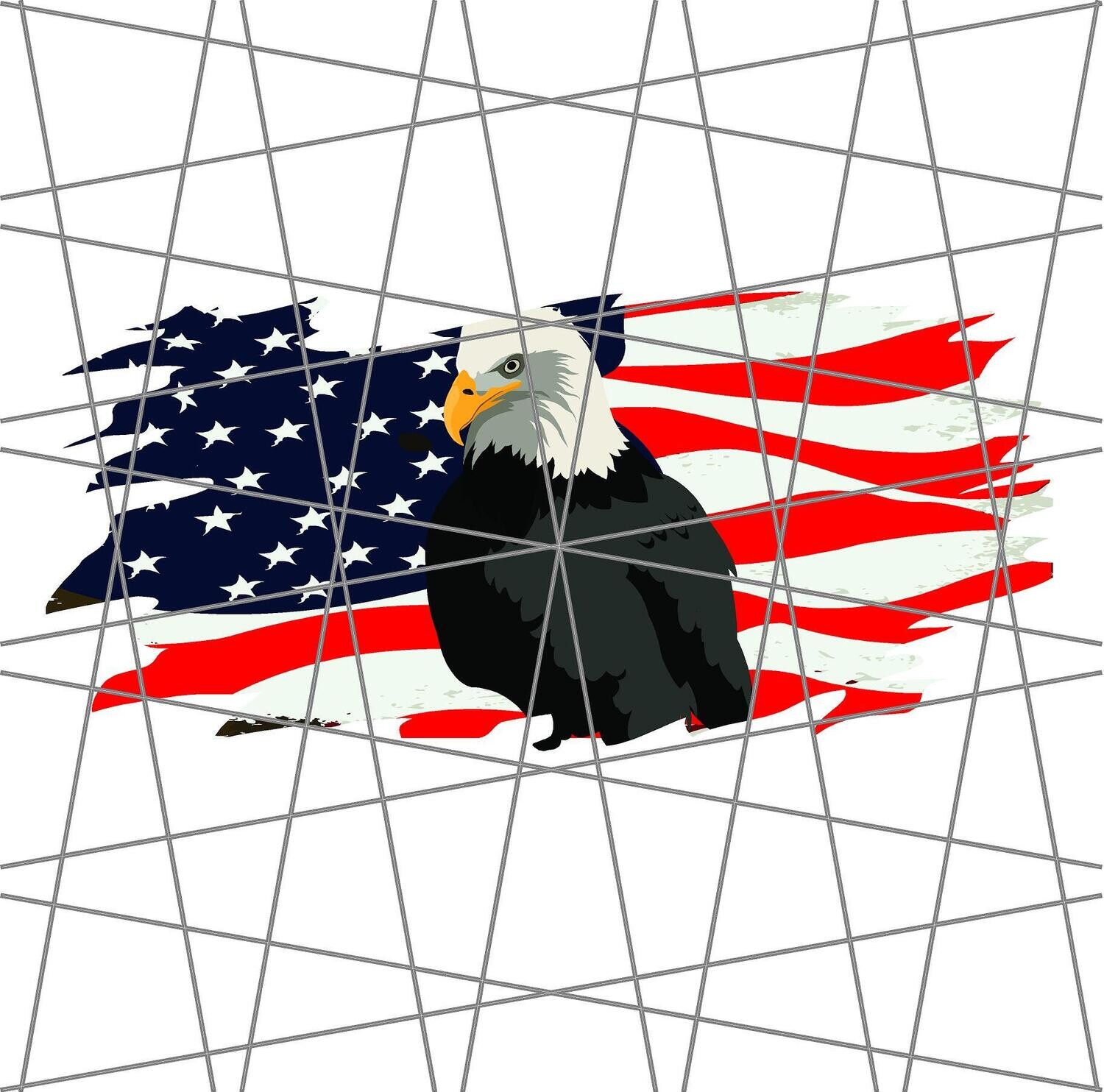A 43-Eagle In Flag