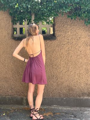 Seta lavata malva