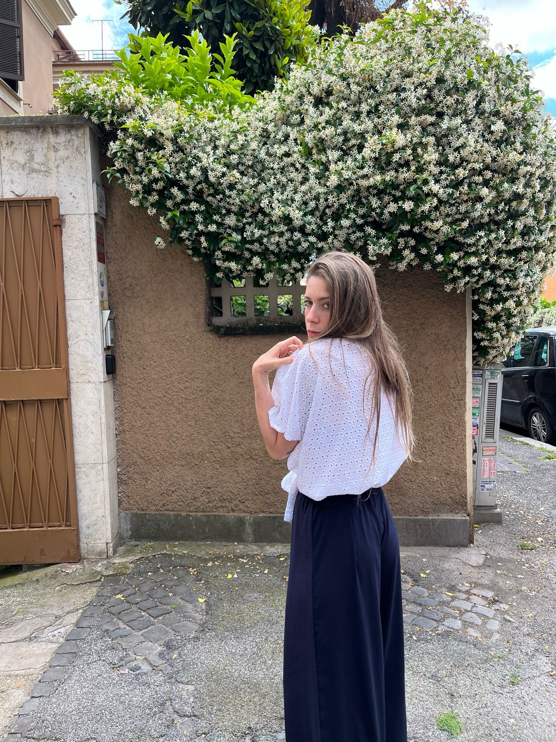 DAISY top