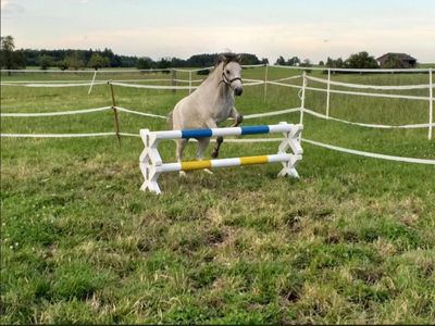 Cavaletti