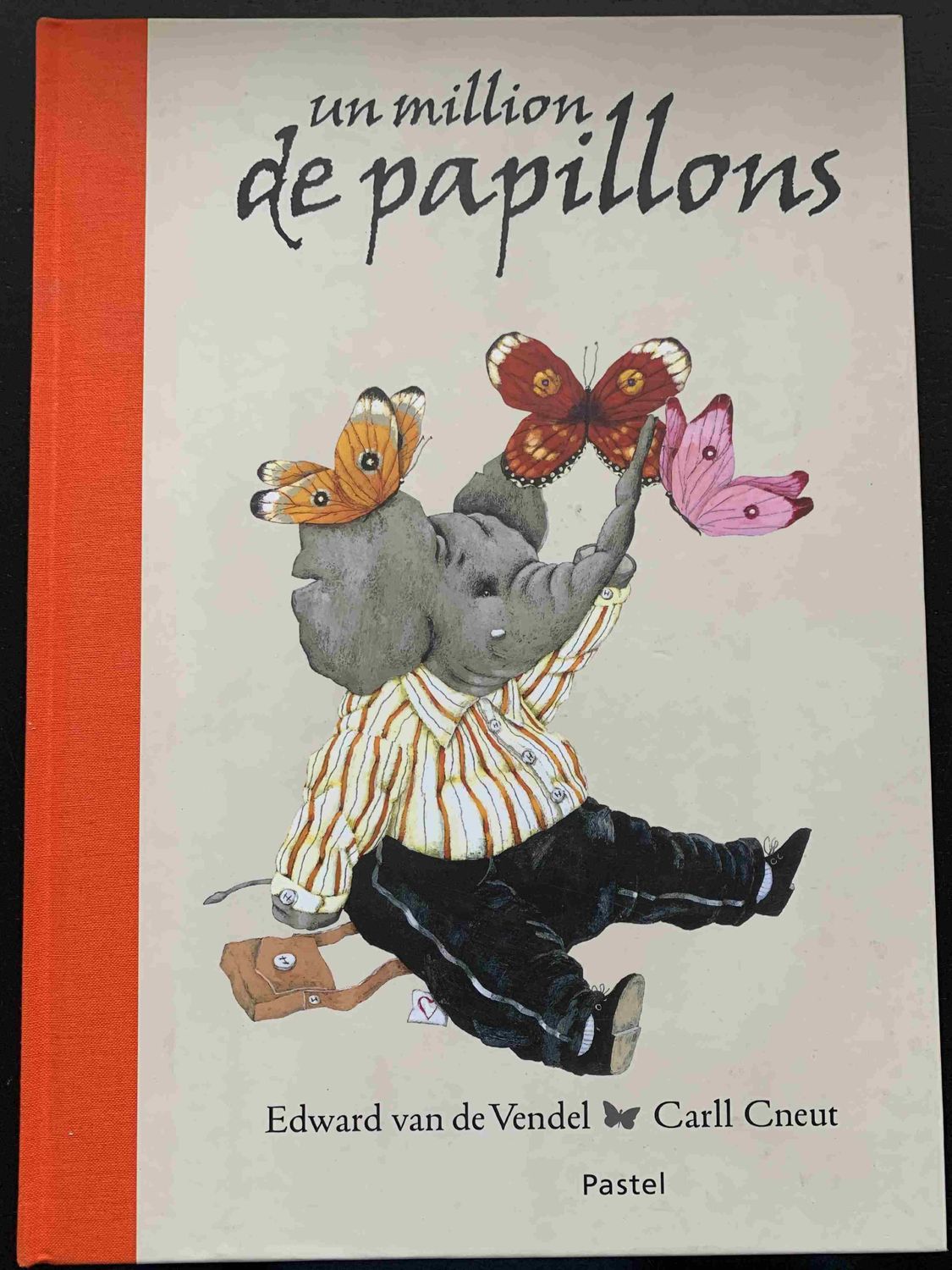 Edward van de Vendel (texte), Carll Cneut (illustrations), Un million de papillons, Paris : Pastel. L’école des loisirs, 2007.