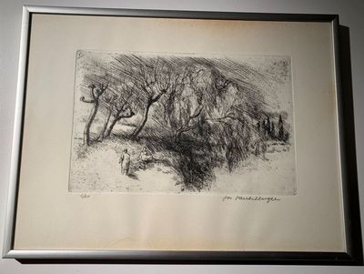 Grafiek, tekeningen en foto's