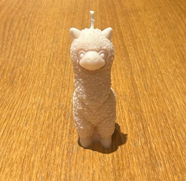 Alpaca