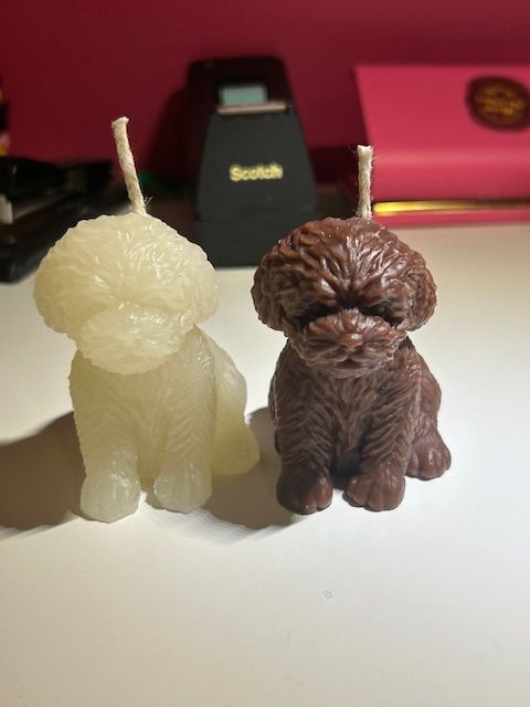 Set of two dogs, brown and white