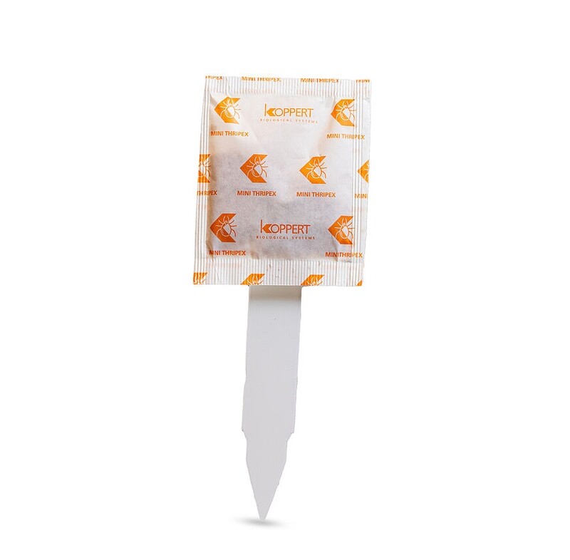 Thripex-Mini, 25-pack