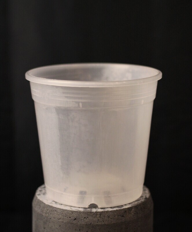 Clear Nursery Pot - 5.5&quot;