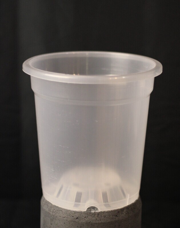 Clear Nursery Pot - 7&quot;