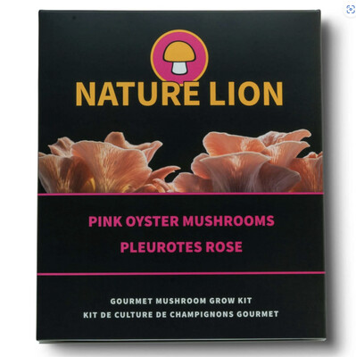 Nature Lion Mushroom Grow Kit - Pink Oyster