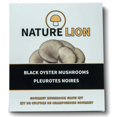 Nature Lion Mushroom Grow Kit - Black Oyster