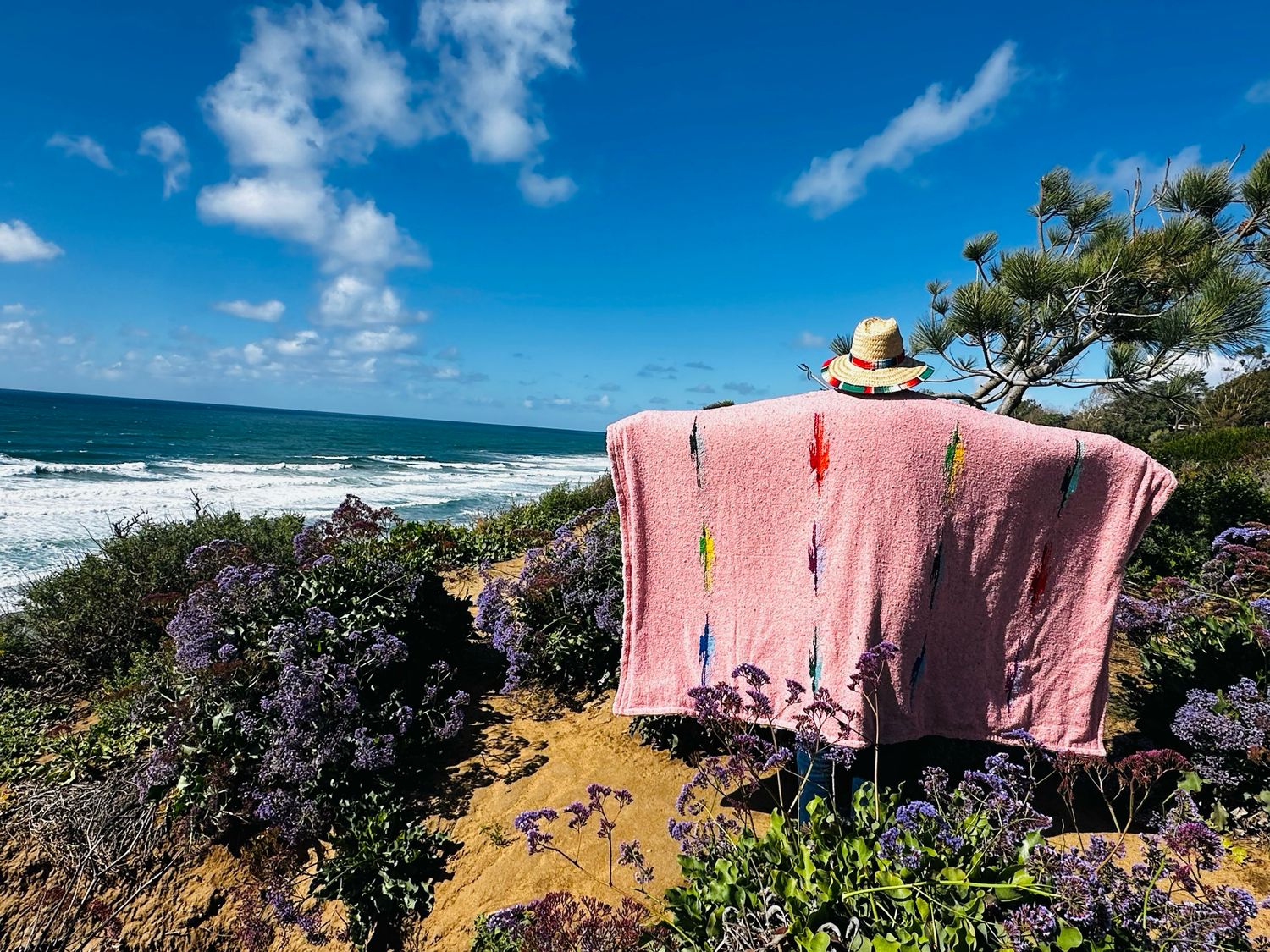 Pink Thunderbird On Faux Fur