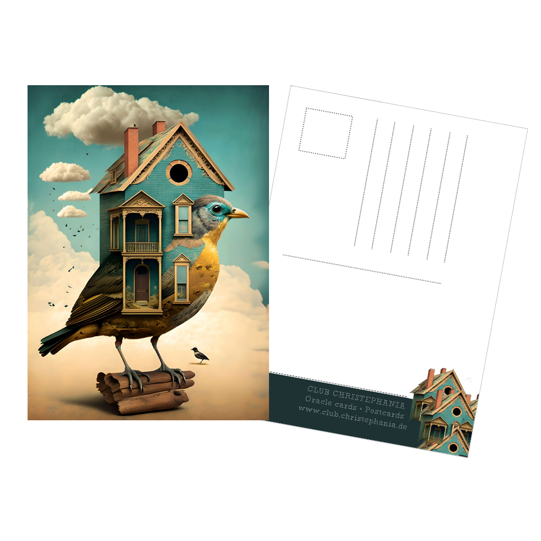 Bird's House