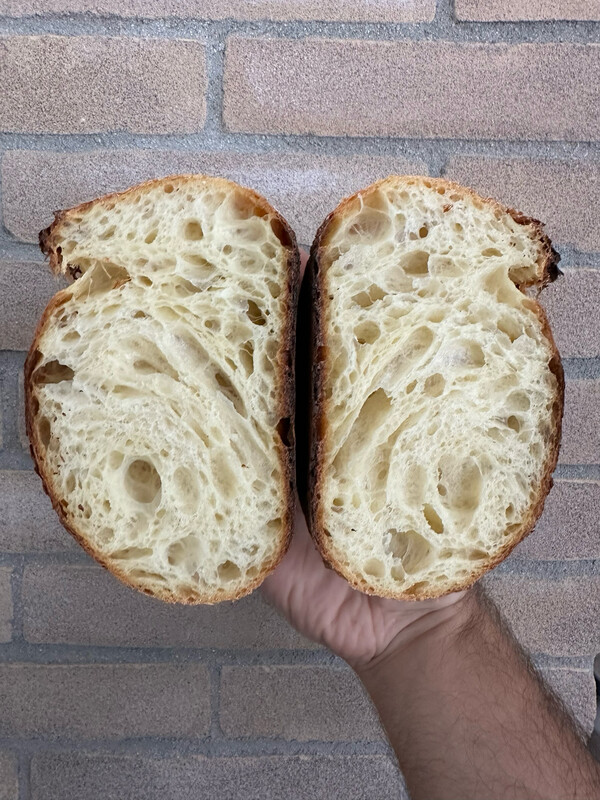 Semola Rimacinata di Grano Duro