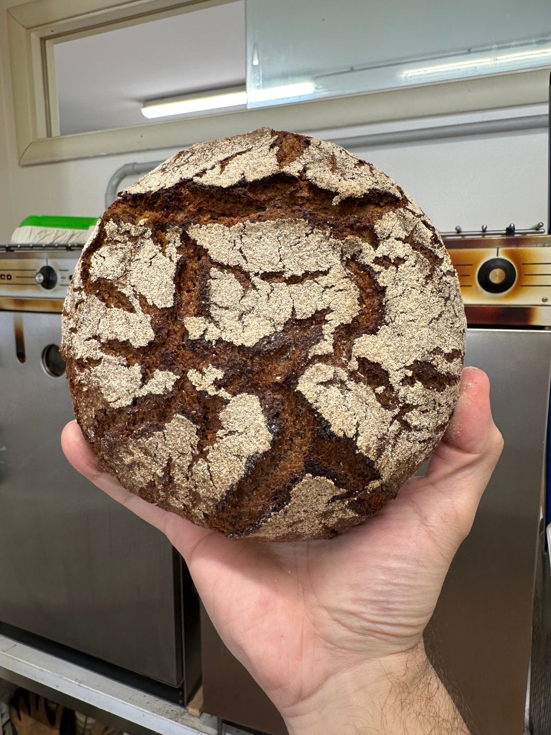 100% Segale Integrale